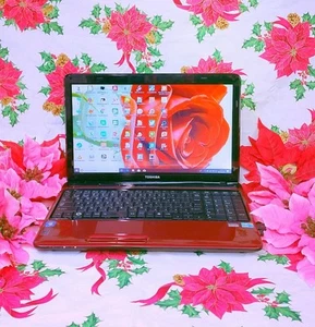 Toshiba Dynabook Laptop Intel Core i5 15 Inch Windows 11 Red SSD 256GB 8GB RAM - Picture 1 of 4