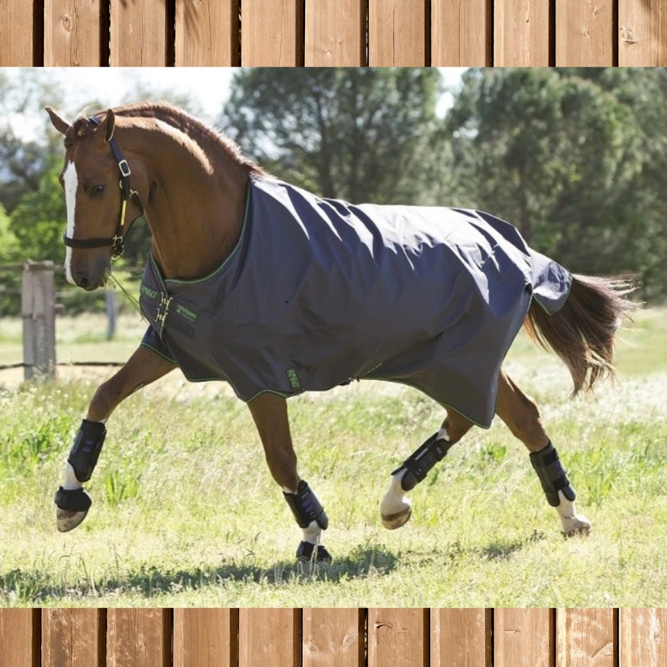 Horseware AMIGO Hero 6 Lite 0g, excalibur-green, Amigo Regendecke ungefüttert