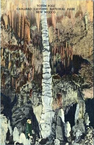 Totem Pole Carlsbad Caverns National Park  New Mexico Postcard Unposted  - Picture 1 of 2