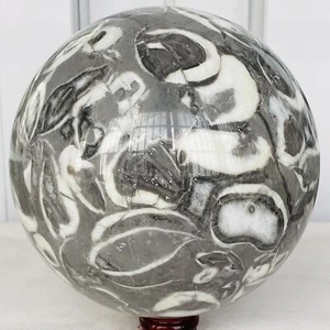 Natural Shell Thousand Eye Stone Jasper Quartz Crystal Ball Reiki Healing 6220G - Picture 1 of 12