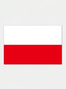 Poland Flag 3x5ft Flag of Poland Polish National Flag 3x5 House Polska Flag USA - Picture 1 of 2