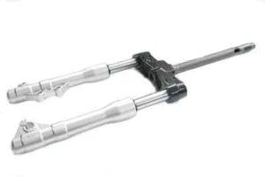 1C000190R FORCELLA ANTERIORE COMPLETA ORIGINALE Piaggio Beverly 125 I.E 11/17 - Imagen 1 de 1
