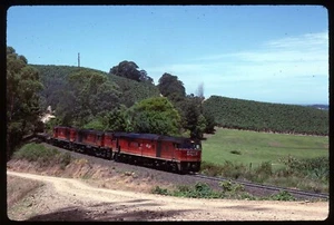 Original Rail Slide - NSWSRA 44224+ Redhill NSW Australia 12-1993 - Picture 1 of 1