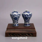 Une paire de petits vases exquis en porcelaine chinoise bleu et blanc à motifs lotus