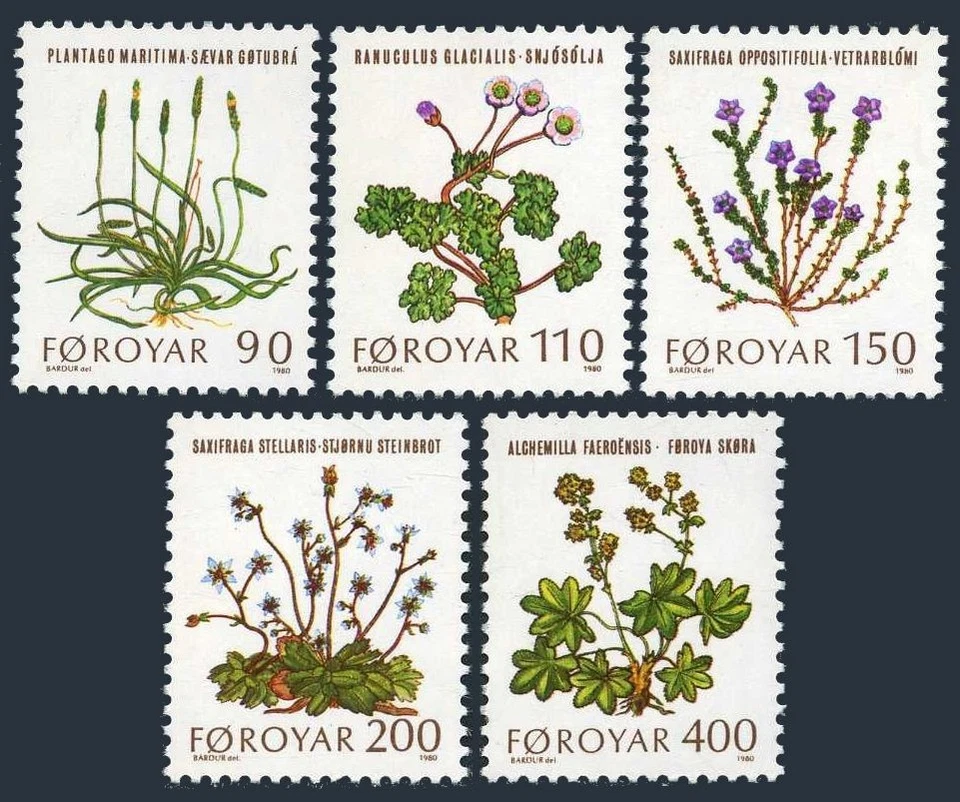 Faroe 48-52, MNH. Mi 48-52. Plants 1980. Sea Plantain, Glacier buttercup,Mantle, - Image 1 of 1
