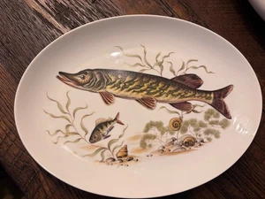 Naaman Israel Porzellan 14" ovale Fisch Servierplatte ~ Judaica (1960er Jahre) perfekt - Bild 1 von 4