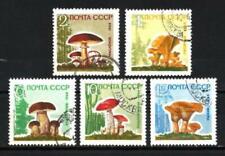 Mushrooms Russia Urss 1964 (26) Yvert N° 2880 IN 2884 Obliterated Used