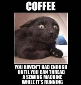 Funny Cat refrigerator magnet 3 1/2 x 5 " - Picture 1 of 1