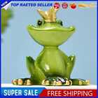 Yoga Frog Classic Figurine Waterproof Resin Decor Statue for Outdoor Indoor (D)