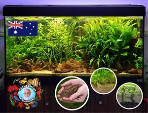 Father Fish Aquarium Substrate Supplement - Picture 1 of 3