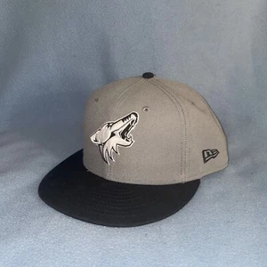 VTG Old Time Arizona Coyotes Hat Cap Fitted New Era NHL Hockey One Size 7 3/4 - Picture 1 of 10