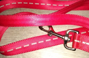 Vibrant Life Dog Leash - Picture 1 of 1