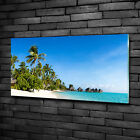 Wandbild Glas-Bild Druck auf Glas 100x50 Deko Landschaften Strand in Karibik