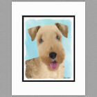 Lakeland Terrier Dog Original Art Print 8x10 Matted to 11x14