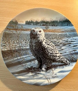 Sammelteller Bradex Eule im Winter No 84-K41-78.1 The Snowy Owl - Bild 1 von 2