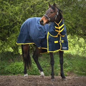 Gallop Trojan Mediumweight 200G Horse Turnout Rug Full Neck Combo, Navy - Picture 1 of 3