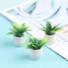 1:12 Dollhouse Miniature Green Plant In Pot Model Home Decor Accessories To-P_