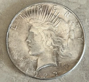 Dollaro Argento Pace 1923 D - Foto 1 di 4