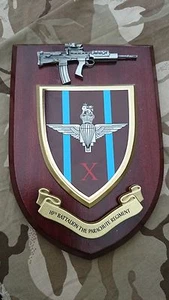 10 bn Parachute Regiment Military Wall Plaque + Pewter SA80 - Foto 1 di 1