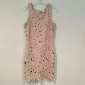 Vestido Vaina Japna Beige Rosa Encaje Recortado Líneas Completas Midi Talla Grande - Imagen 1 de 7