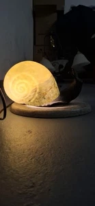 Tischlampe In Schnecken Form - Bild 1 von 3