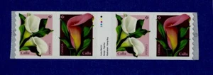 Canada Calla Strip of 4 (2022) - 4 Stamps Flowers -  Pink & White - Imagen 1 de 2