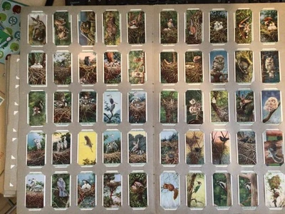 COLLECTION OF 11 COMPLETE SETS OF CIGARETTE CARDS - BIRDS, DOGS & ANIMALS - Image 1 of 4