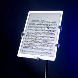 Apple iPad Pro 2nd Gen. 64GB, Wi-Fi, 12.9 in - Gold - in Perfect Condition - Afbeelding 1 van 7