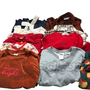 Girls Size 14-16 Long Sleeve T Shirts Sweatshirts BUNDLE Fall Winter Clothing - Picture 1 of 11