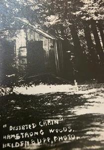 Antica cartolina fotografica RPPC del 1914 cabina deserta Armstrong Woods di Belden & UPP - Foto 1 di 5