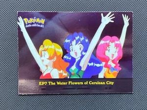 Holo EP7 THE WATER FLOWERS OF CERULEAN CITY Pokemon TV Animation Edition - Picture 1 of 9