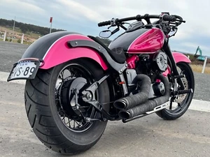 Custom Built XVS650 2016 model Lams - Picture 1 of 13