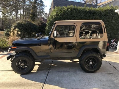 Jeep Wrangler Sport 1994 Foto 1 de 4