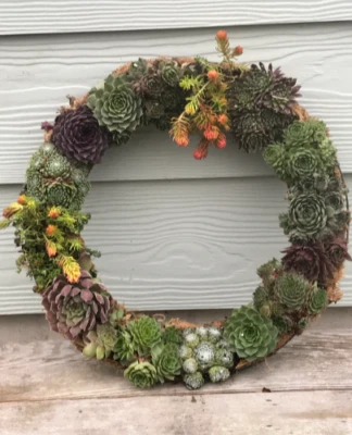 Live Succulent Door Wreath Table Centerpiece Housewarming Gift Live Plants 18" - Image 1 of 4