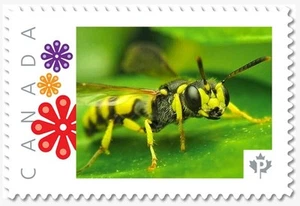 YELLOW JACKET WASP = Bee = Picture Postage stamp MNH Canada 2019 [p19-01-s17] - Picture 1 of 2