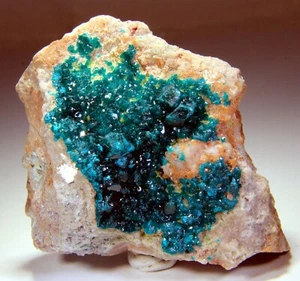 8.2 cm Superb, Bright, Emerald Green Dioptase Crystals on Matrix, Congo! DP301 - Picture 1 of 10