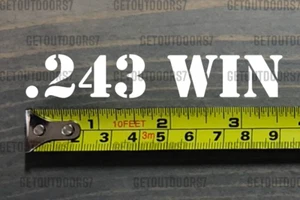 .243 243 WIN Sticker Decal 3.5" Ammo Can Box Label Ammunition Case DIE CUT XO - Picture 1 of 3
