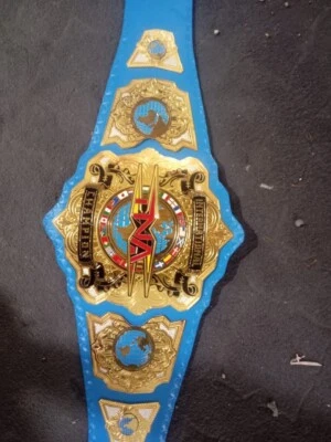 New TNA International Championship Wrestling Replica Belt 2mm — 第 1/4 张图片