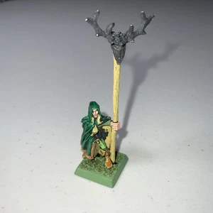 Wood Elf Standard Bearer Wood Elves Warhammer Fantasy Games Workshop Metal - Picture 1 of 6