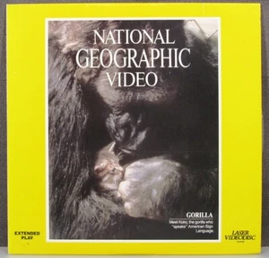 Laserdisc: Classic NATIONAL GEOGRAPHIC;GORILLA; Featuring KOKO; XCLNT! - Picture 1 of 2