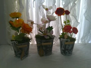 *3 x MohnBlumen im MetallTopf* Landhaus/Shabby*MetallEimer* Deko*Geschenk* - Bild 1 von 5