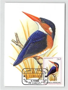 S.TOME MK 1979 AVES PÁJARO DE HIELO PESCADOR ENANO MARTÍN PESCADOR TARJETA MÁXIMA MC CM m275 - Imagen 1 de 2