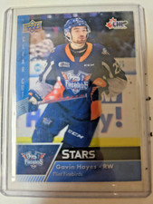 Gavin Hayes, Flint Firebirds, Stars Clear Cut  2022-23 CHL