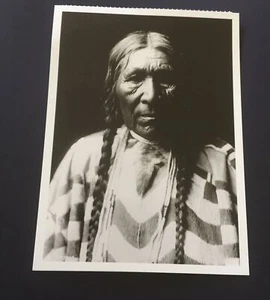 Native American Women Daughter Of Tamahus- Cayuse Great Photographic Postcard - Foto 1 di 2