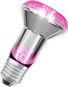 Lampada per Piante LED Star Con Filamento E 7,5 W / 140 Lm, Attacco E27, Con Luc - Foto 1 di 12