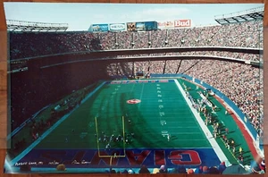New York Giants Stadium Ira Rosen 1991 firmado edición limitada Impresión fotográfica de playoffs de la NFL - Imagen 1 de 5