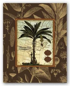Impresión artística de palma de plátano (marrón) Karl Rattner 20x16 - Imagen 1 de 1