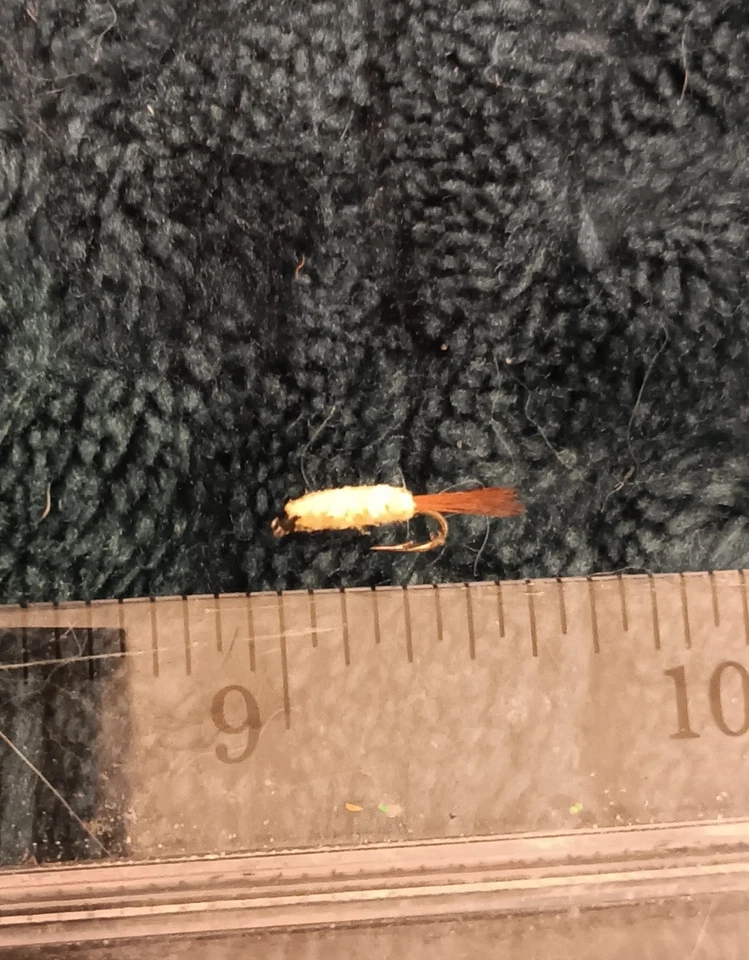 12 Buckskin fly nymph Caddis Larva Flies size 18 trout