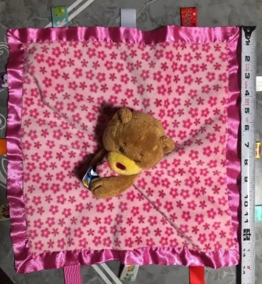 Taggies Manta de Seguridad Bebé Lovey Calmarme Oso de Peluche Etiquetas Satinado Ribete Rosa Foto 1 de 4