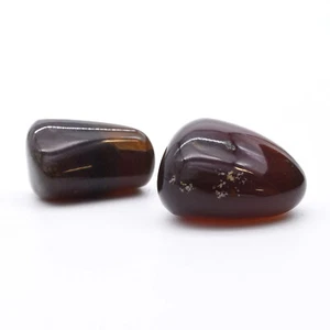 Amber Polished - Picture 1 of 5